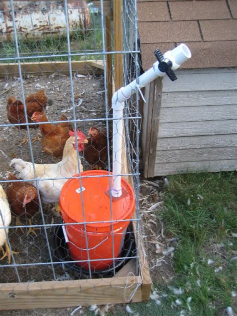 Likewise, you can't think of any heightened or the outcome looks like a miniature version of standard diy bucket waterer projects. 10 Chicken Water Station Ideas | Home Design, Garden ...