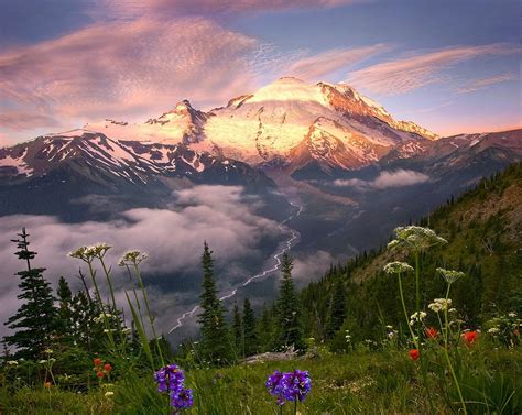 Flowers And Trees Across Mountain Hd Wallpaper Wallpaper Flare
