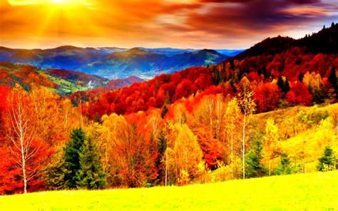 Tree Season Landscape Color Fall Widescreen Nature