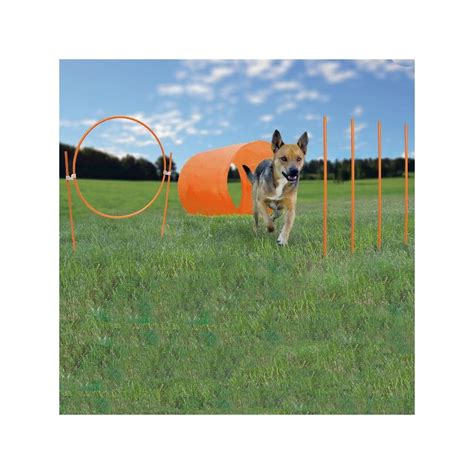 Outward Hound Zip And Zoom Outdoor Agility Kit