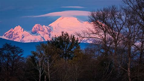 The Last Rays Of Sunlight On Mt Baker Usa Washington Volcano Trees