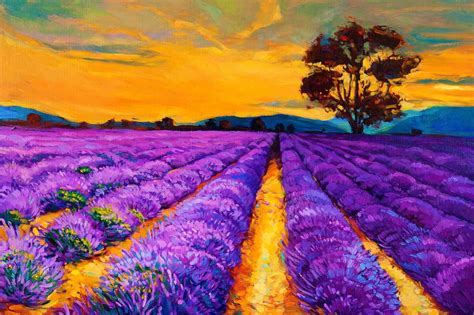 Original Oil Painting Of Lavender Fields On Canvassunset Landscape