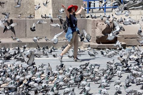 Edition 41, published 25 may 2021. Turkey reports 10,512 new COVID-19 cases, 223 deaths in last 24 hours | Daily Sabah