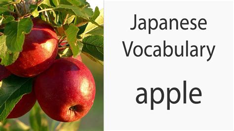 How To Say Apple In Japanese Youtube