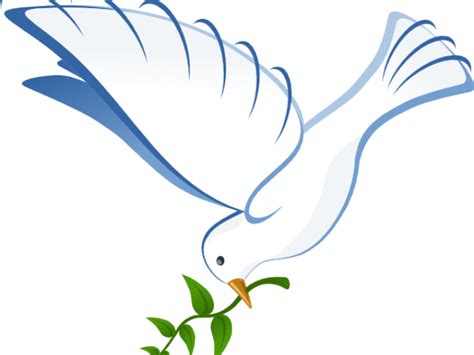 White Dove Clipart In Flight White Dove Png Download Full Size