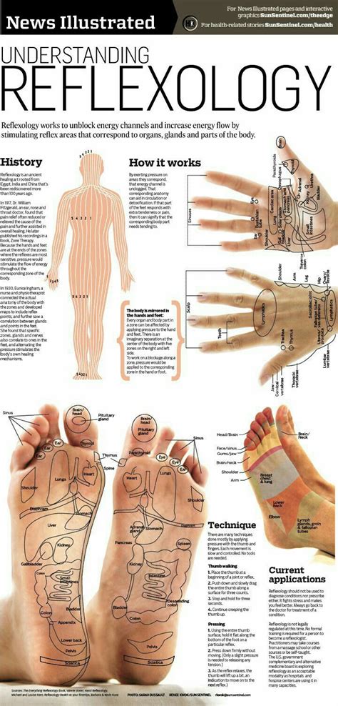 Understanding Reflexology With Images Reflexology Reflexology Massage Massage Therapy