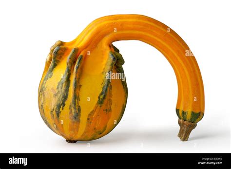 Odd Shaped Pumpkin Stock Photo Alamy