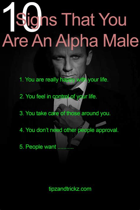 10 Signs That You Are An Alpha Male Alpha Male Alpha Male Traits