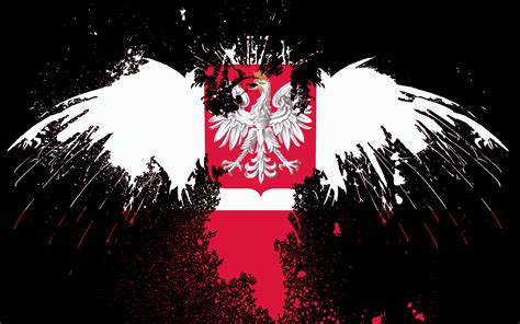 Banner, balkans, republic of albania, red, black, pennant, flag, eagle, europe, images of black eagle. red white eagles flags polish poland coat of arms white ...