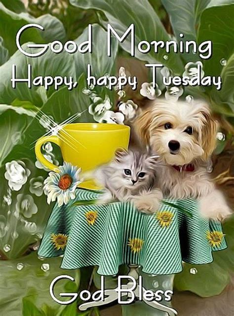 Good Morning Happy Happy Tuesday Pictures Photos And Images For