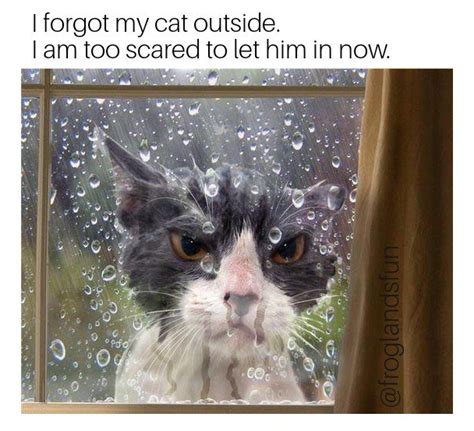 13 Funny Memes For Rainy Days Factory Memes