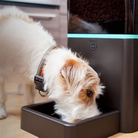 Never mind the feeding of pets in the case of business trip, or any situations that you are not at home. Petnet Automatic Pet Feeder » Petagadget