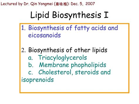 Ppt Lipid Biosynthesis I Powerpoint Presentation Free Download Id