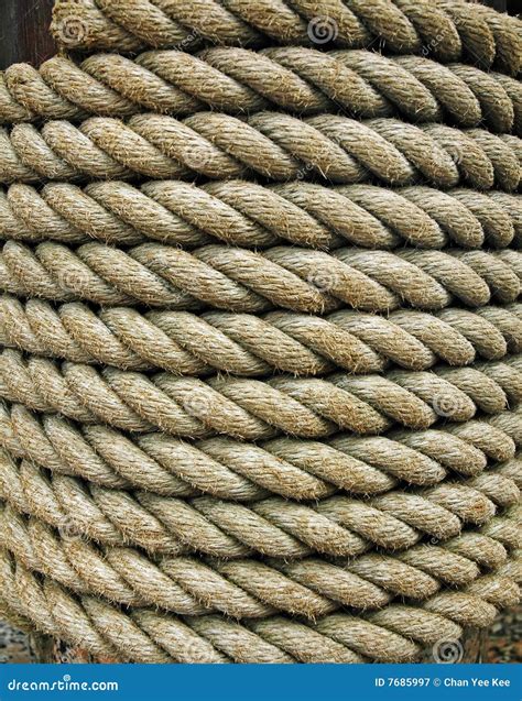 Bundle Of Thick Rope Stock Image Image Of Still Connection 7685997