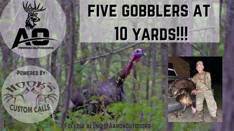 FIVE GOBBLERS At 10 YARDS Kentucky Turkey Hunting 2021 YouTube