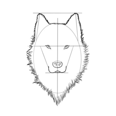 How To Draw A Wolf Head A Guide That Makes Wolf Drawing Easy Wolf