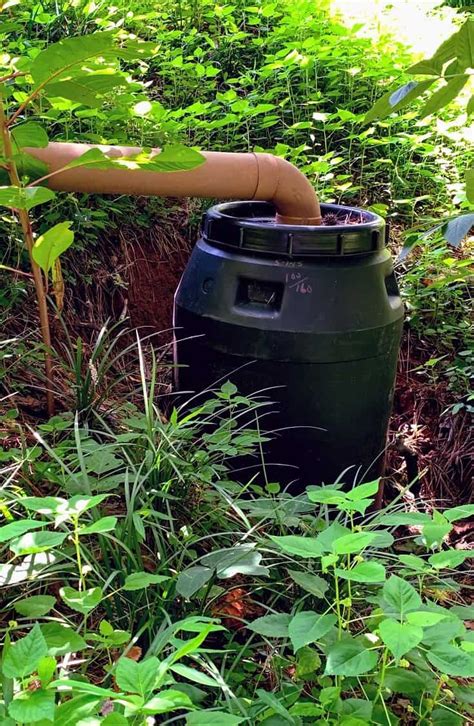 How To Make A DIY Rainwater Harvesting System Travel News