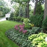 Pictures of Flower Bed Plants For Shade
