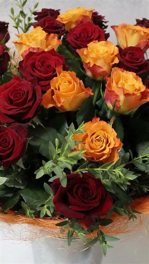 Download rose flower stock photos. roses_flowers_bouquet_lots_design_elegant_27936_640x1136 ...