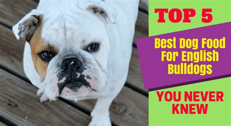 An english bulldog puppy's food must give him the energy he needs, but also take the underdeveloped digestive tract into account. Top 5 Best Dog Food For English Bulldogs You Never Knew