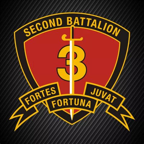Usmc 2nd Battalion 3rd Marines Insignia Military Graphics Decal Sticker