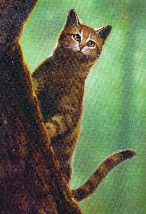 He also has fur like autumn leaves. Blattstern | Warrior Cats Wiki | Fandom powered by Wikia