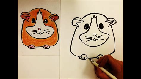 How To Draw A Hamster For Kids Youtube
