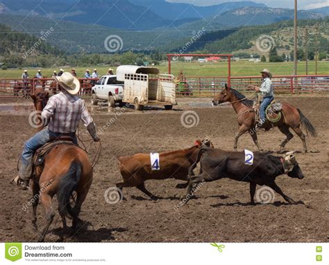 Ranchers Competing At A Rodeo In Colorado Editorial Photo Image Of