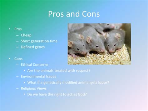This image (to the right) (courtesy of r. Transgenic organisms powerpoint