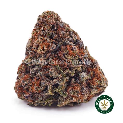 Buy Purple Kush Aaa Online West Coast Cannabis