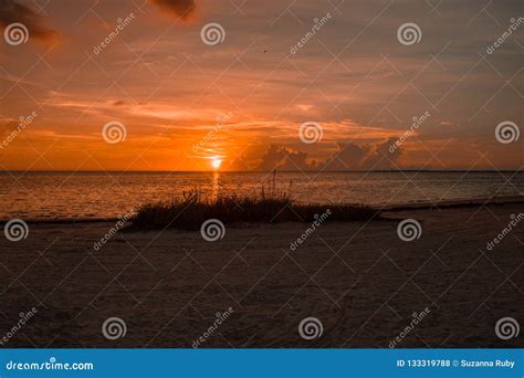 Sunset Over The Gulf Of Mexico Stock Photo Image Of Sunset Sundown