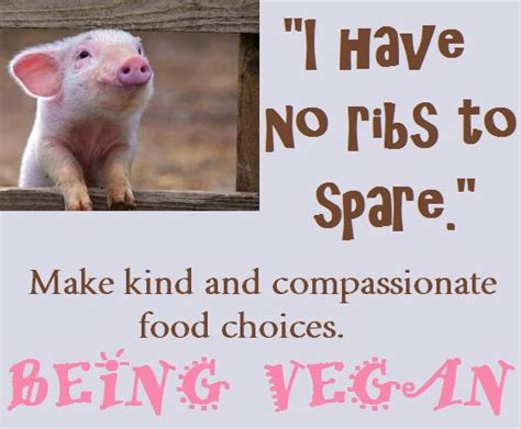 Pin By My Vegan Journal On Vegan Food For Thought Reasons To Be Vegan
