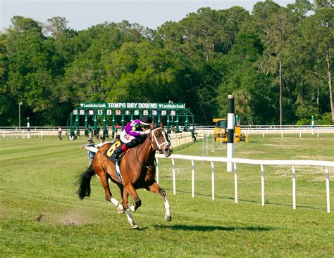 Tampa Bay Downs kicks off winter-spring meet