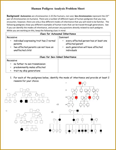 Worksheets are weather and climate work, chapter 3 climates of the earth, weather patterns answer key, sixth grade weather, second grade weather, teaching notes, activity recent weather patterns, weather and climate. 5 Human Pedigrees Worksheet Answers | FabTemplatez
