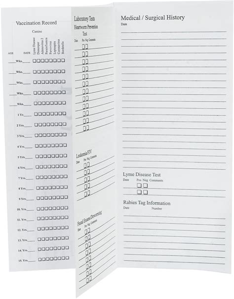 Dog Health Record Printable Template Business Psd Excel Word Pdf