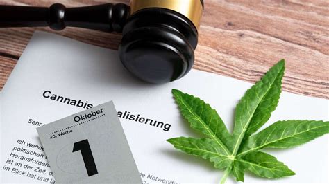 cannabis legalisierung in deutschland starttermin um sechs monate verschoben