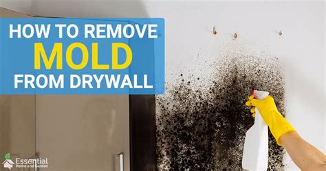 Best Way To Remove Mold From Bathroom Walls Bathroom Poster