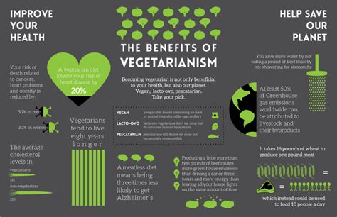 Vegetarian Infographic Foodie Loves Fitness