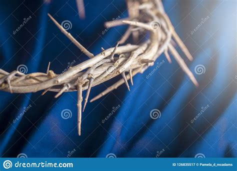 The Crown Of Thorns That Jesus Wore King David