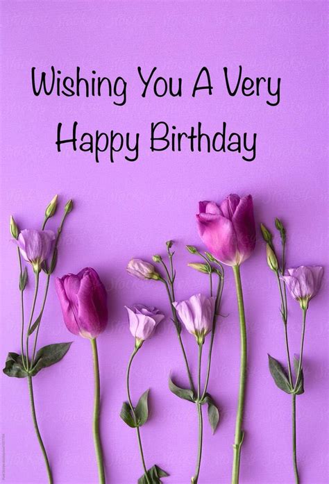 happy birthday pink lilac tulips purple background happy birthday fun happy birthday wishes