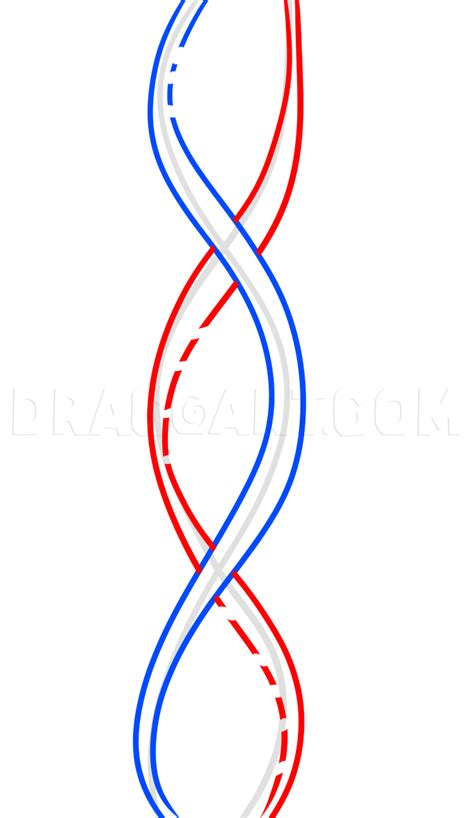 Simple Dna Strand Drawing