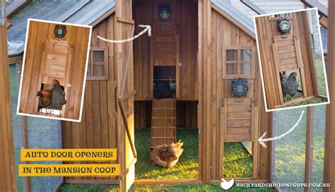 Starting with the diy chicken coop foundation: Chicken Door & Cheap Automatic Chicken Door Opener ...