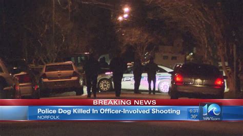 Police Dog Killed In Officer Involved Shooting Youtube