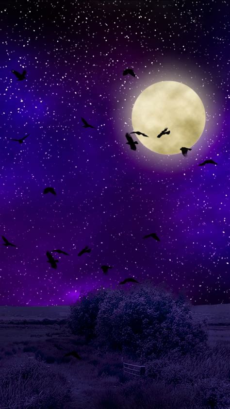 Full Moon Starry Sky Birds Night Photoshop Wallpaper