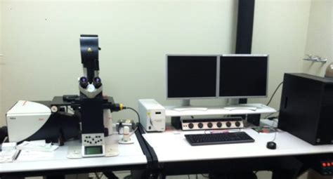 Leica Sp5 Confocal Microscope Chobanian And Avedisian School Of Medicine