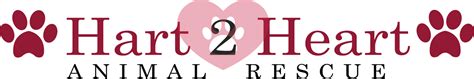 Hart 2 Heart Animal Rescuepet Shelter In Philadelphia Pa