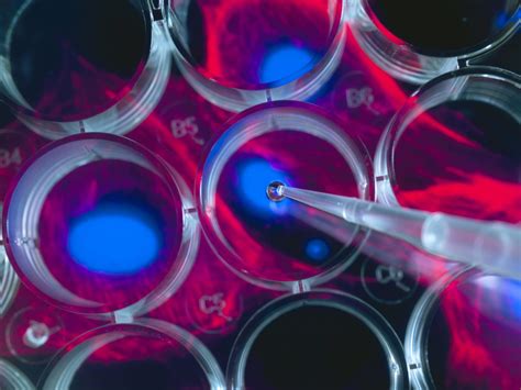 Tech Can Solve Stem Cell Sectors Manufacturing Challenges Laptrinhx