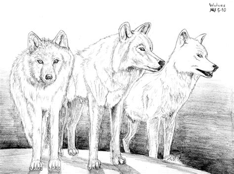 How to draw a white wolf. Three White Wolves by DragonWolfACe on DeviantArt