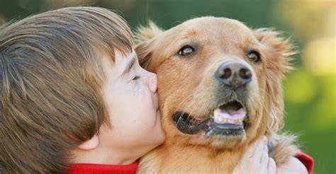 Do Dogs Like Kisses What Your Pets Behavior Might Be Telling You