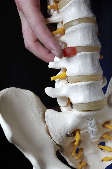 What Goes Before And After Chiropractic Adjustment